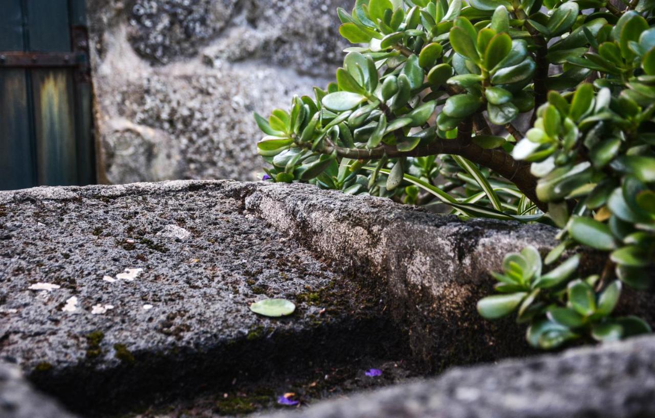 Quinta Dos Frutos Villa Santa Cruz da Graciosa Dış mekan fotoğraf