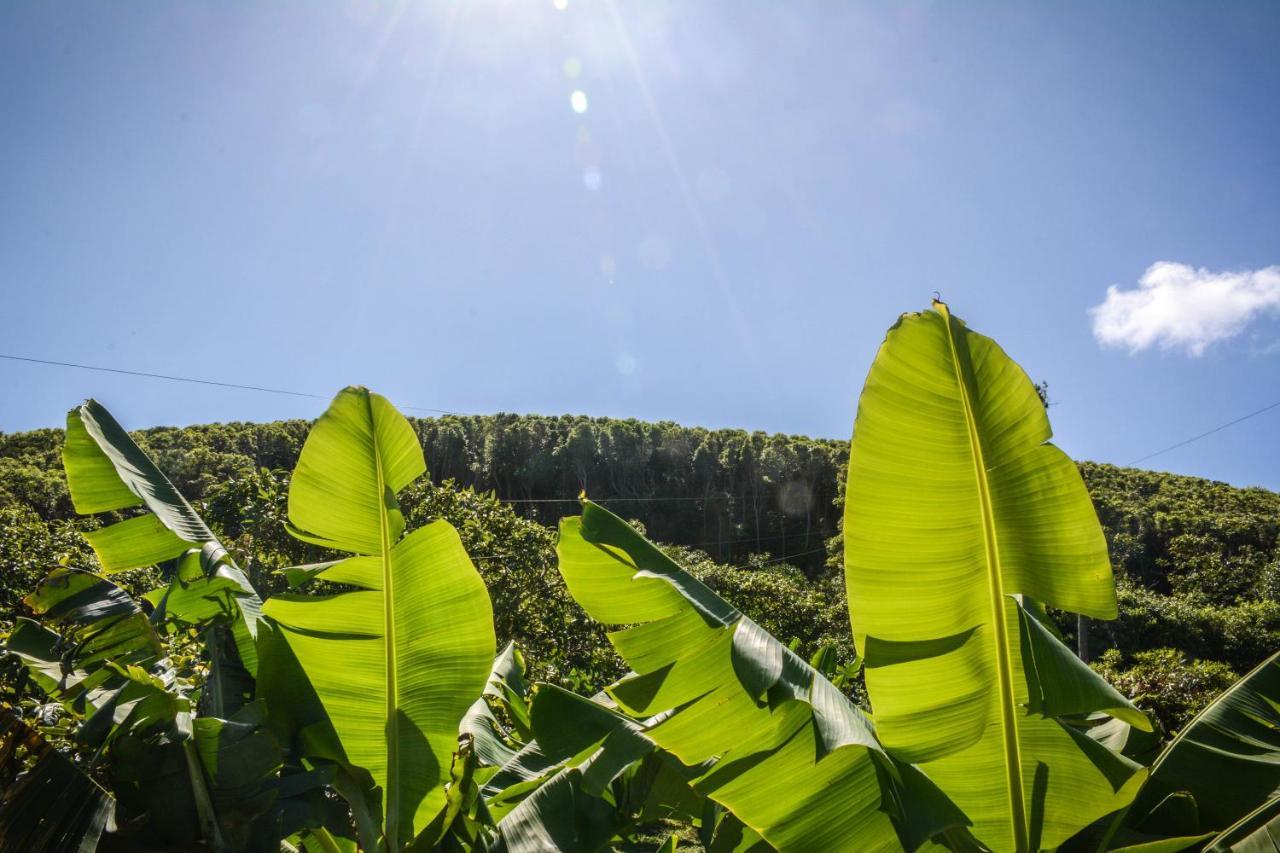 Quinta Dos Frutos Villa Santa Cruz da Graciosa Dış mekan fotoğraf