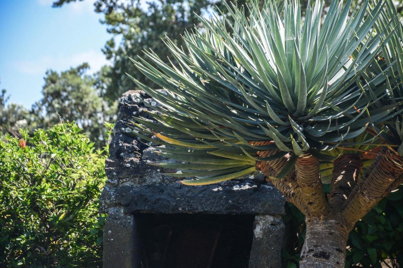 Quinta Dos Frutos Villa Santa Cruz da Graciosa Dış mekan fotoğraf