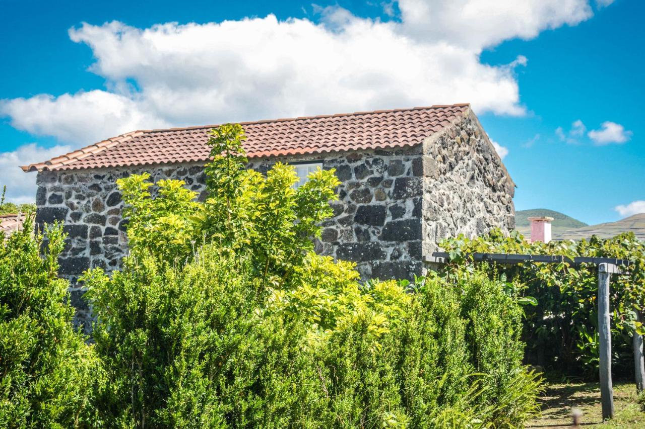Quinta Dos Frutos Villa Santa Cruz da Graciosa Dış mekan fotoğraf